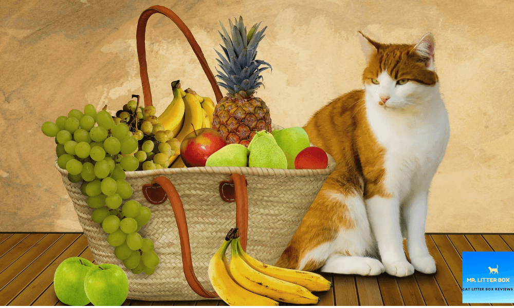 Cat sitting next to a bunch of a fruit basket