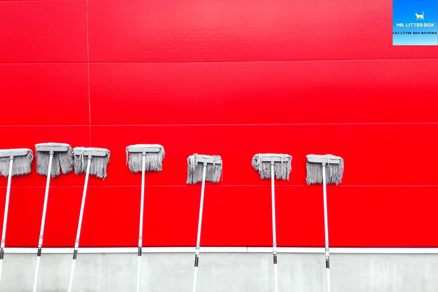 Brooms on a wall