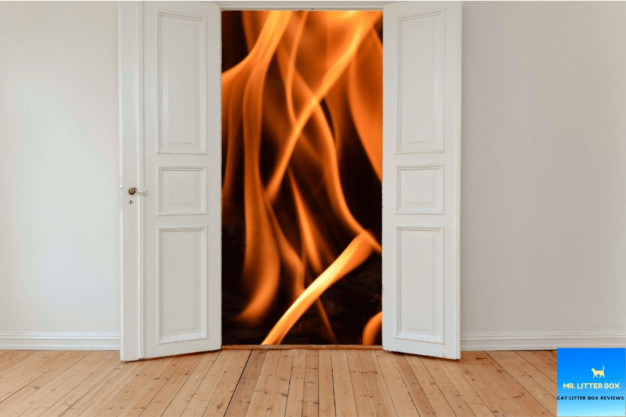 Fire burning near a door