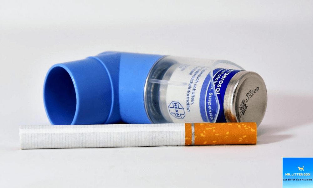 Cigarette next to an inhaler